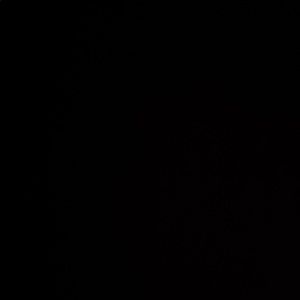 Meet your Posher, Sophia